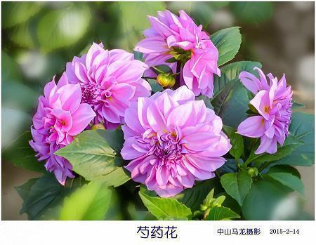 讽刺领导不公平的句子 讽刺领导不公平的句子