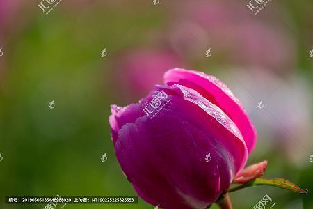 吃货发朋友圈的短句_吃货的说说短句朋友圈