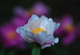 做男人难的经典语句 一段说出男人心声的话男人有累自己扛语录