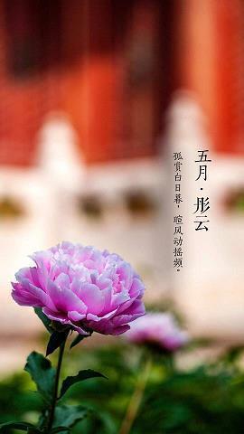 时光荏苒毕业寄语