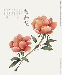 有关树木的唯美句子