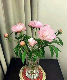骐馵