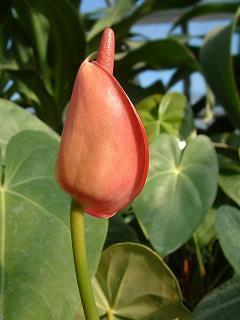 儿童节寄语发朋友圈