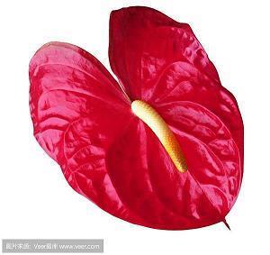 深夜睡不着的经典句子 今夜无眠伤感心情说说