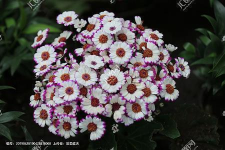 送给客户的中秋佳节祝福语