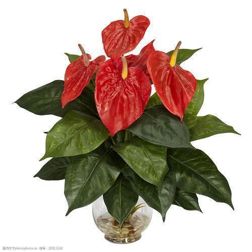 2021简短的芒种祝福语短句精选68句