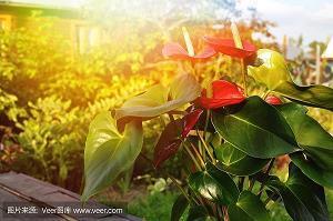 形容夜长难熬的句子 漫长的夜晚心情说说短句