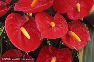 祝别人工作顺利的成语