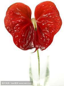 2021年腊八节祝福语简短八十句