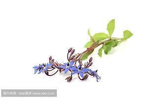 英语中描写紧张着急的句子55条