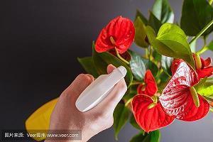 重阳节祝福语老人简短2021年(精选59条)