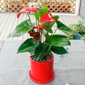 形容阅历的句子