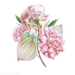 端阳节祝福语大全简短合集66句
