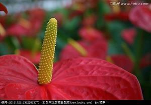 爱情感言经典句子