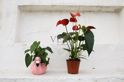 生活，需要追求；梦想，需要坚持_坚持梦想的说说正能量