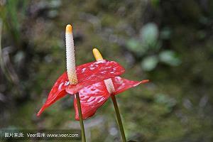 智慧历史小故事3则