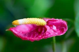 腊八节祝福语简短朋友圈2021年