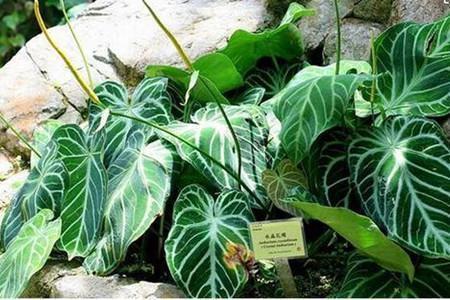 形容发现自身的不足的名人名言61条