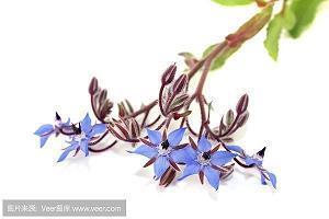 关于生活简单朴素的说说26句