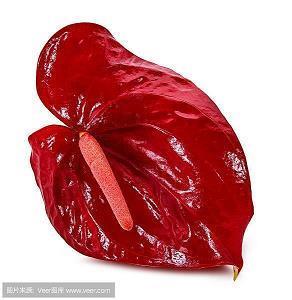 多愁善感的句子 心情特烦想发个朋友圈