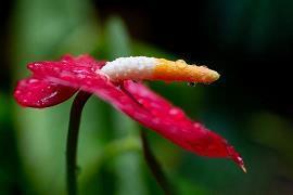 关于下雨天的唯美句子