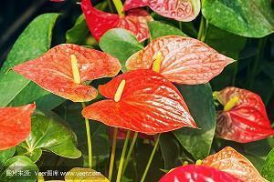 深夜伤感的句子 深夜情感语录短句