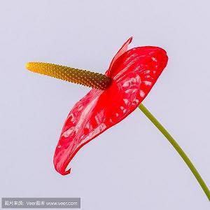 每日一句英语名言