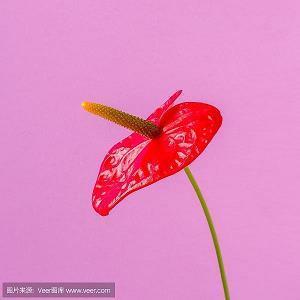 经典说说：得不到回报的付出，要懂得适可而止