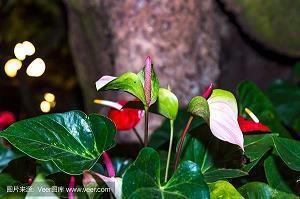 国庆节祝福语简短一句话大全送客户(精选81条)