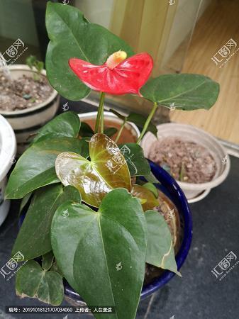 杜甫的故事，你所不了解的精彩内容！