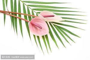 鎯头