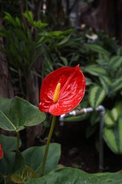 温馨朋友中秋节祝福语