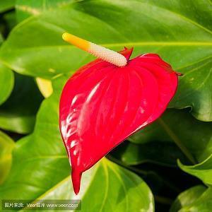 阳光岁月静好唯美的句子