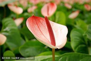 心情美美哒说说40句