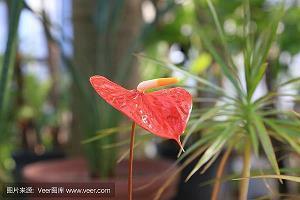 微信小年祝福发朋友圈 过小年图片大全汇编72句