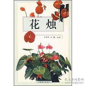 唯美情感说说心情短语
