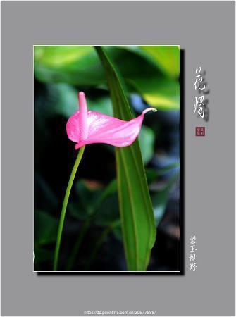 祝姐姐升学宴的祝福语2021年汇总56句