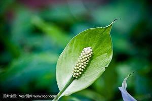 精辟现实的心情短语 人没走，茶就凉，是世态炎凉