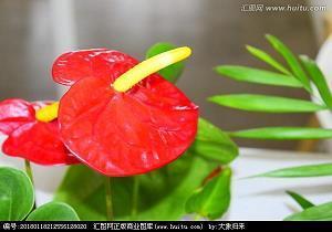 老舍简介