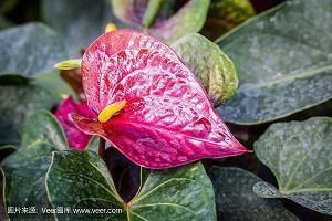 秋季养生温馨问候短信