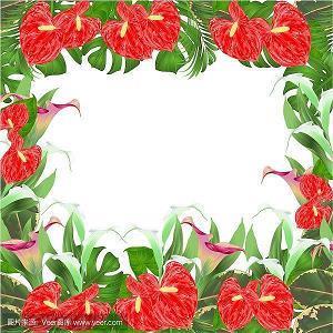 骆驼祥子描写祥子和烟的句子39条