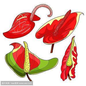 如何培养孩子勇于坚持的精神：几点建议（上）