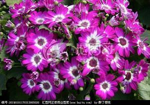 描写午后晴天的优美说说句子