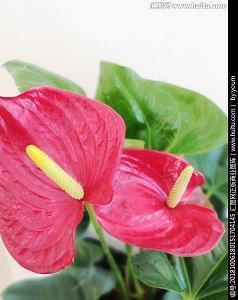 雨天正能量说说 雨天正能量的短语_雨天正能量的句子