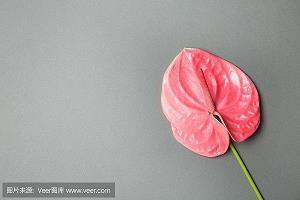 生活感悟句子简短正能量