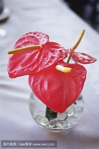 避缩