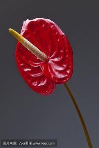 描写人心丑陋的句子