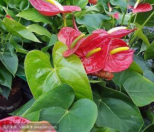 突然感觉自己好迷茫好失败的说说28句