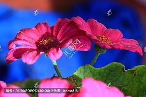 进入老年人的生活状态的说说