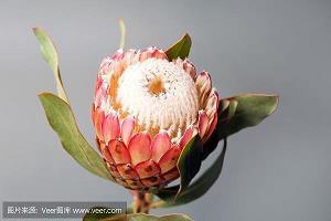 把臂徐去